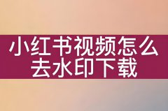 小红书怎么下载视频？下载视频怎么去除