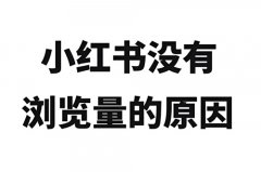 小红书发作品没有浏览量怎么回事？小红