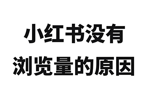小红书发作品没有浏览量怎么回事