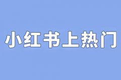 小红书发作品怎么上热门？小红书浏览量