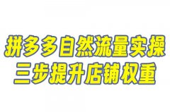 自然流量开拼多多店铺运营可以吗？拼多多有自