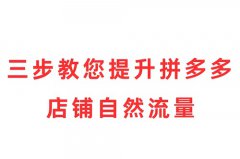 拼多多店铺流量怎么推?拼多多店铺怎么 拼多多店铺流量怎么推?拼多多店铺怎么