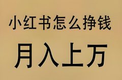 小红书发视频怎么挣收益?小红书播放量 小红书发视频怎么挣收益?小红书播放量